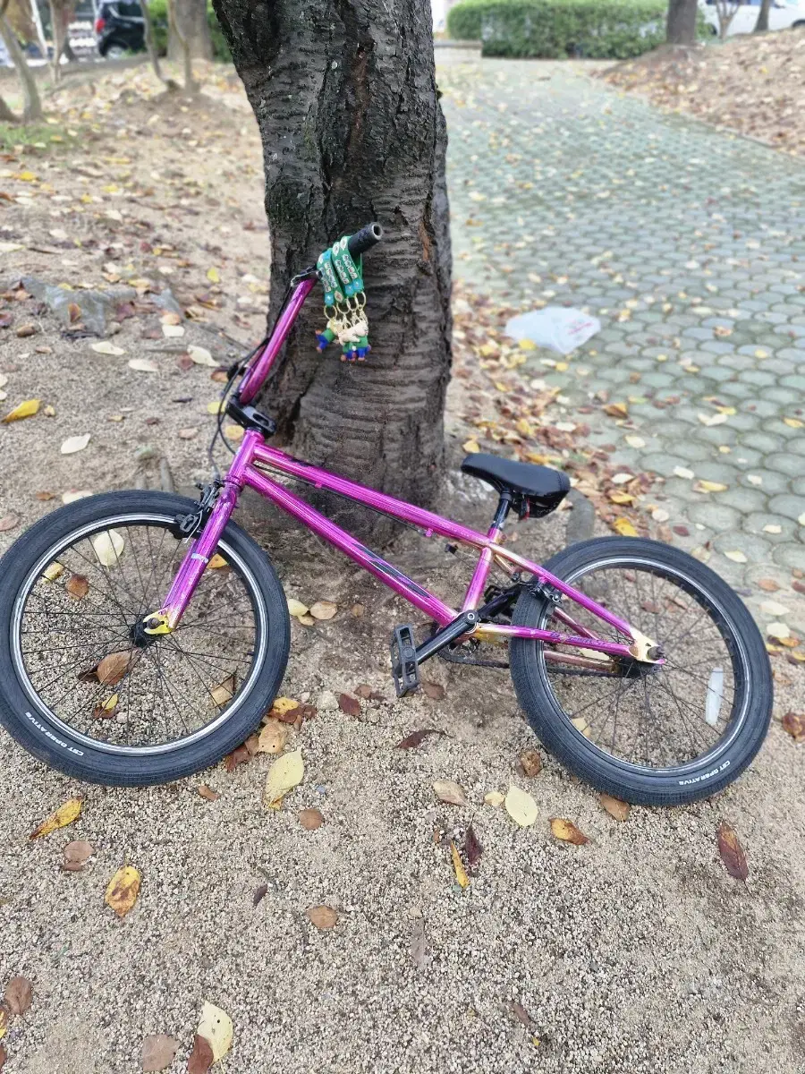 bmx